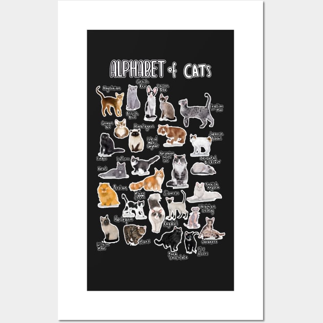 Types of cats alphabet a-z abc cat identification cat lover Wall Art by masterpiecesai